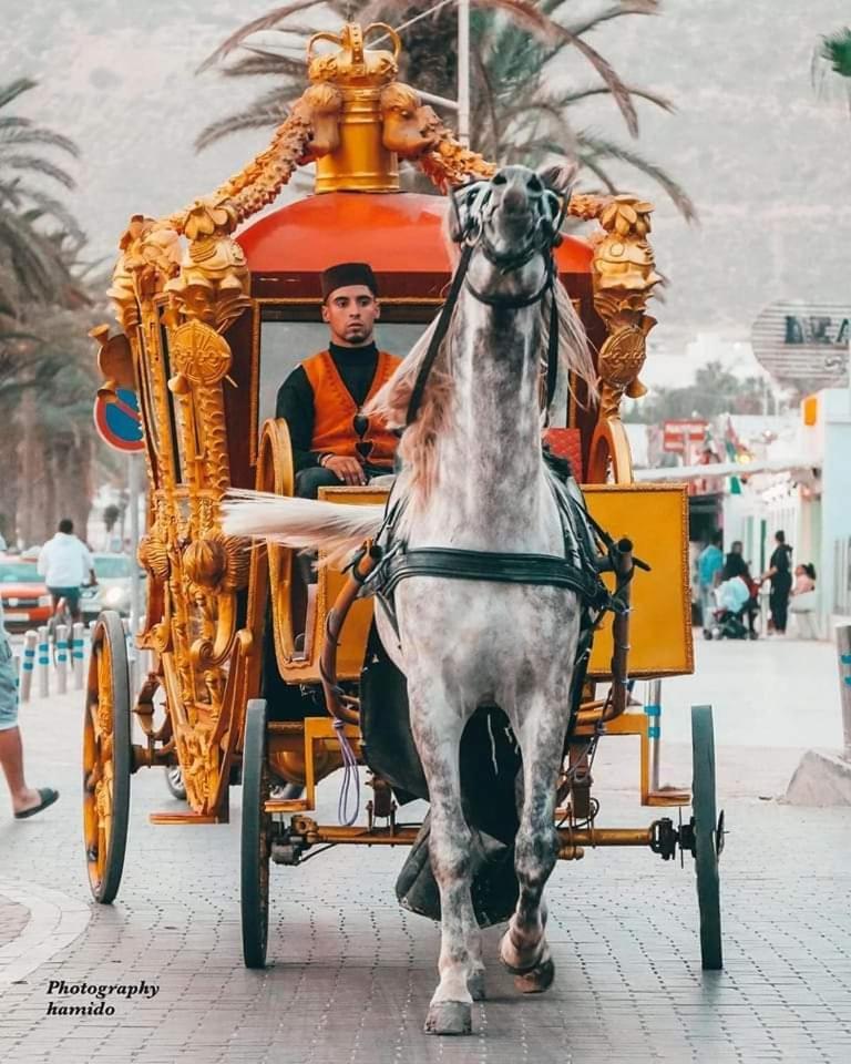 Appartement Deluxe Avec Piscine Privee Agadir Kültér fotó