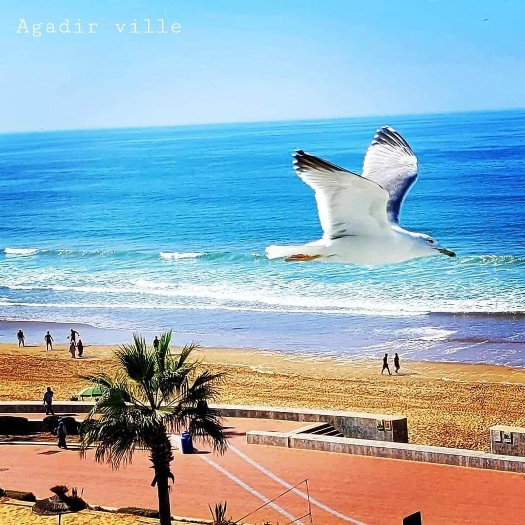 Appartement Deluxe Avec Piscine Privee Agadir Kültér fotó