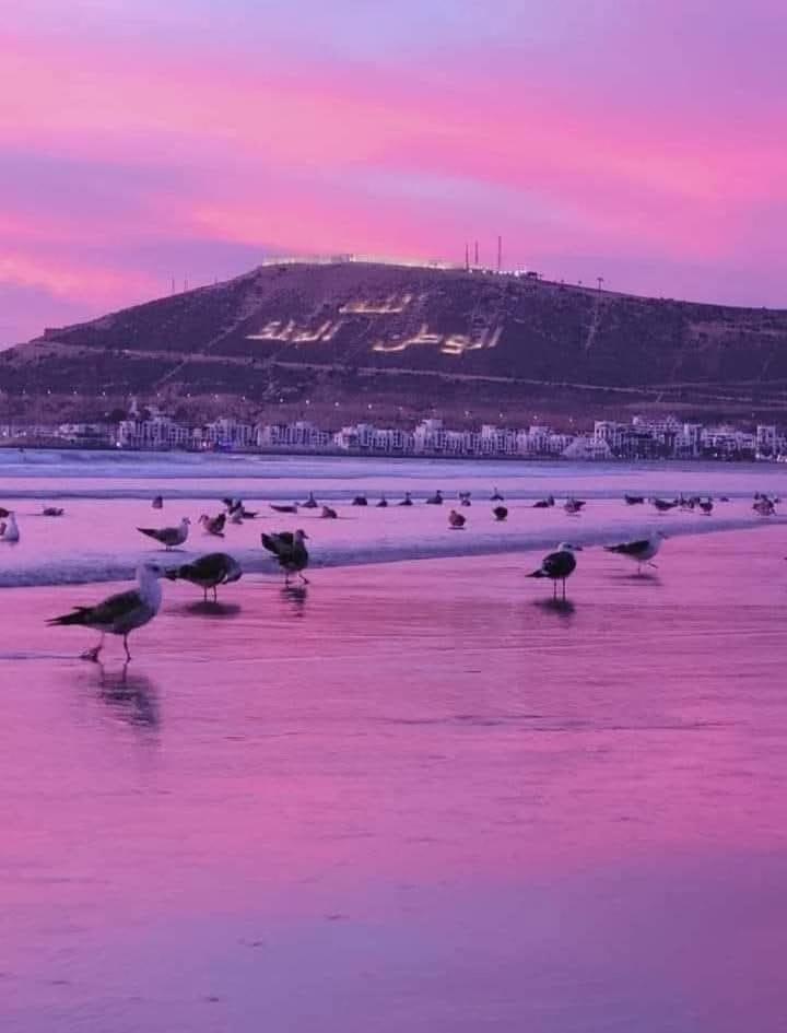 Appartement Deluxe Avec Piscine Privee Agadir Kültér fotó